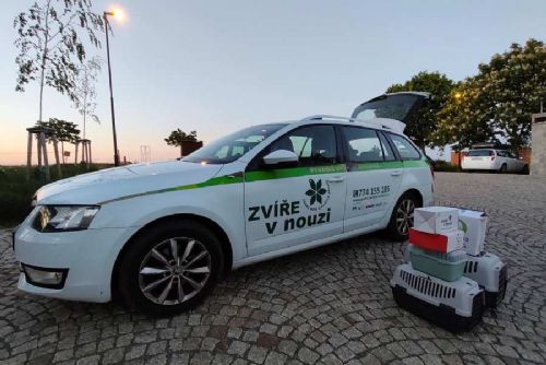 obrázek:Pražská vedra přivádějí do záchranných stanic více mláďat. Pomůže voda i správná reakce