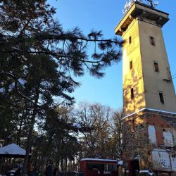 Rozhledna na Chlumu vydražena za 4,5 milionu, město zvažuje odkoupení