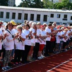 Sportovní hry seniorů v Českých Budějovicích přilákaly rekordní počet účastníků z celého Jihočeského kraje