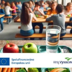 Vysočina znovu otevírá program na úhradu školních obědů