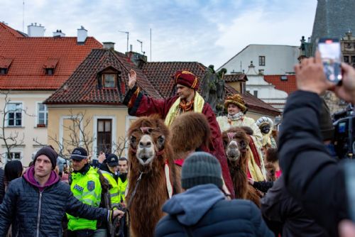 obrázek:Zítra projdou Prahou živí velbloudi v tříkrálovém průvodu