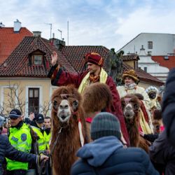 Zítra projdou Prahou živí velbloudi v tříkrálovém průvodu