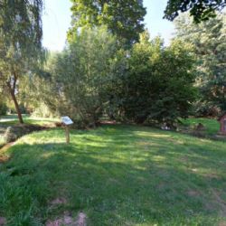 Kdy se znovu otevře park v Blovicích? Zámecký areál zůstává zavřený, lidé sepisují petici