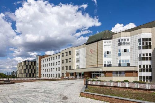 obrázek:Lounský příběh zvedl zájem o registr dárců kostní dřeně