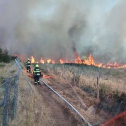 Požár lesa u Studence zaměstnal 18 jednotek. Hasiči nasadili i vrtulník s bambivakem