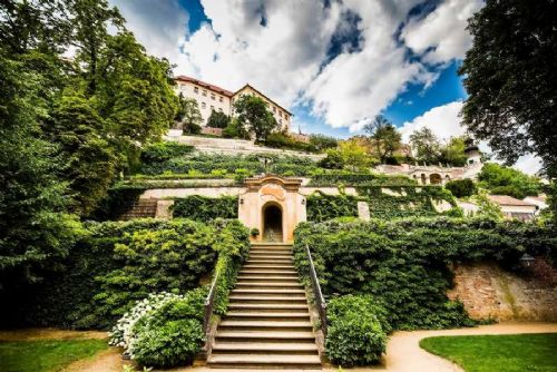 obrázek:Pražský hrad jako městská oáza: stovky druhů organismů a dosud neznámý roztoč