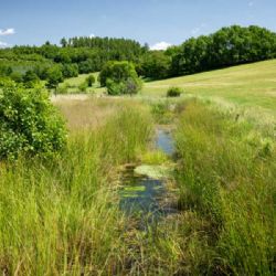Revitalizace řek v Moravskoslezsku: Návrat k přírodě brzdí majitelé pozemků