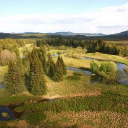 Šumava slaví 35 let: od zásahů k návratu divočiny