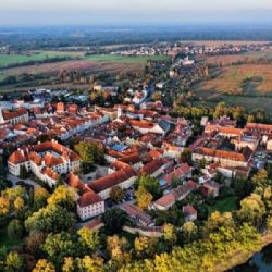 Třeboň si připomene Toma Schreckera výsadbou pamětního cedru