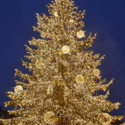 Praha rozsvítila vánoční strom na Staroměstském náměstí: Začaly trhy a slavnostní show