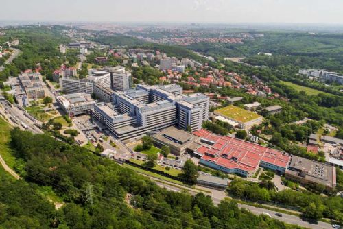 obrázek:Spojení nemocnic Motol a Na Homolce: efektivnější péče a úspory od roku 2026