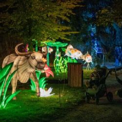 Zářivá zvířecí show v Zoo Praha: Objevte Divokou Asii!